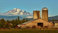 Mt. Baker