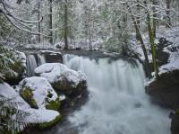 Whatcom Falls