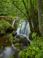 Whatcom Falls