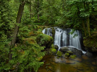 Whatcom Falls