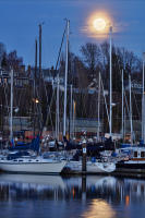 Bellingham Bay Marina