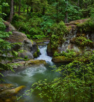 Whirlpool Falls