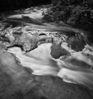 Whatcom Creek